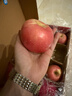 京鲜生 山东栖霞红富士苹果精品12粒 单果190g-240g  水果礼盒 实拍图