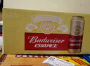 百威（Budweiser）淡色拉格啤酒 500ml*18听整箱装 经典纯生京东自营 实拍图