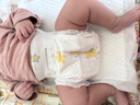 泰迪熊（Teddy Bear）亲肤纸尿裤S82片(4-8公斤)新生儿婴儿尿不湿超薄透气敏感肌 实拍图