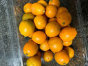 京鲜生 广西脆皮金桔 净重2斤 单果10g+ 金柑新鲜水果 源头直发包邮 实拍图