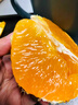 象山红美人正宗象山红美人柑橘【多地次日达】28号果冻橙年货节送礼盒 【超甜 | 甄选级】12枚单果200g+ 【送礼必选-老树果】精美礼盒 实拍图