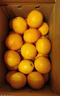 集年鲜江西赣南脐橙当季新鲜橙子水果现摘现发节日送礼生鲜 含箱10斤净重9斤优选果150-230g 实拍图