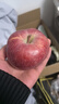 京鲜生 天水花牛苹果 净重4.5斤 单果170g+ 生鲜水果源头直发 实拍图