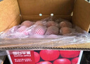 京鲜生 山东栖霞红富士苹果精品12粒 单果190g-240g  水果礼盒 实拍图