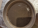 扬子（YANGZI）破壁机家用豆浆机全自动免煮2026新款免洗料理机5-6人大容量五谷杂粮辅食多功能预约定时榨2025新 大容量1.7L【12页刀头+高温清洗+12H预约】 实拍图