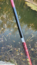 达亿瓦（DAIWA） 新款 一击樱 综合休闲手杆台钓竿轻碳素进口钓鱼竿钓杆 垂钓装备 F-5.4米 实拍图