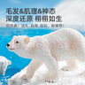 弥鹿（MiDeer）仿真动物企鹅模型北极熊鲨鱼玩具海洋动物礼盒11pcs儿童礼物 实拍图