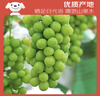 京鲜生 阳光玫瑰葡萄 青提4-4.5斤礼盒装 单果约10g 生鲜水果 生鲜礼盒 实拍图
