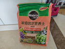 美乐棵多肉营养土养花家庭园艺植物花土花肥肥料盆栽种植多肉专用土2.5L 实拍图