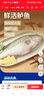 鲜活冲浪河鲈鱼400-500g/条 实拍图