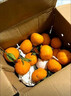三萌果蔬四川春见耙耙柑 新鲜橘子桔子丑柑水果时令应季孕妇水果 5斤装【家庭分享｜一周美味】净4.5斤 【臻品果】送礼首选丨单果80mm+ 实拍图