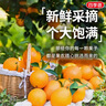 橙子 江西橙子脐橙赣南礼盒装 净重6斤/8斤 送礼水果礼盒 6斤礼盒装 实拍图