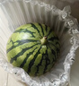 京鲜生 无籽麒麟瓜西瓜 1粒装 单果5-6斤 生鲜水果源头直发包邮 实拍图