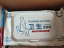 蓝帆医疗（blue sail+）卫生杀菌湿厕纸呵护肌肤 擦走细菌 消字号认证  40片/包  实拍图