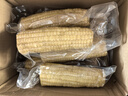 京鲜生 东北白糯玉米230g*8棒 新鲜甜糯玉米棒真空包装粘玉米 源头直发 实拍图