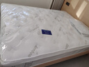 爱舒天然乳胶床垫1.8x2米静音独立弹簧床垫椰棕席梦思床垫子1.5x2米 畅眠二型(独立弹簧+乳胶+椰棕) 1500*2000 实拍图