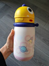 babycare儿童水杯6个月以上宝宝霸王龙不锈钢保温杯上学450ml-新旧款混发 实拍图