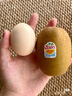 佳沛（zespri）新西兰 阳光金奇异果12粒礼盒特大果单果约122-146g 猕猴桃 水果 实拍图