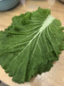 良知农哥【顺丰】东北新鲜白菜叶饭包大白菜叶子打包 新鲜蔬菜 40片商用大叶 实拍图