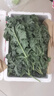 京鲜生山东新鲜羽衣甘蓝净重3斤 新鲜蔬菜 榨汁 健康轻食 源头直发 实拍图