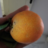 京鲜生 当季鲜橙 净重10斤  单果200-270g 生鲜橙子水果礼盒 实拍图