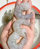 GUO LIAN国联 翡翠生虾仁 去冰净重2斤 加大号58-66只 400万好评 海鲜生鲜 实拍图