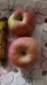正宗烟台苹果栖霞红富士脆甜新鲜水果整箱生鲜苹果水果 净重4.5斤75mm 实拍图