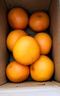 京鲜生 南非红心西柚/葡萄柚净重5斤装 单果220g起 新鲜水果 实拍图