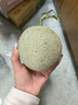 琪江果海南网纹蜜瓜 玫珑冰淇淋蜜瓜当季新鲜水果整箱 净重2.5-3斤1-2个网纹蜜瓜 实拍图