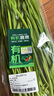 【有机】韭菜250g 实拍图