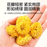 福东海菊花茶金丝皇菊王【黄山特级金绣球】大朵清护花草茶肝火泡水60克 实拍图