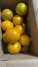 【东东农场专供】正宗广西武鸣皇帝柑贡柑产地直发新鲜水果 3斤装55mm+ 实拍图