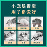 小宠肠胃宝宠物猫咪狗狗益生菌呕吐拉稀好粮伴侣 5g*10包 实拍图