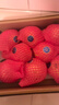 京鲜生 会理突尼斯软籽石榴8粒单果400g 生鲜水果礼盒 源头直发 实拍图