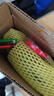 粤品【青芒果】酸芒果生吃广西酸嘢新鲜水果海南象牙生芒果腌制酸脆果 生芒果1斤-送调料 实拍图