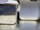 京东物流 家用翻盖装米桶五谷杂粮密封桶防虫防潮食品级密封桶 透明白 12斤 实拍图