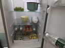 上菱183升双开门冰箱小型出租房2-3人用 出租屋家用两门二门小户型双门电冰箱以旧换新BCD-183D 实拍图