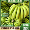 高山香蕉广西产地直发薄皮青果软糯香甜自然熟当季新鲜采摘纯天然 高山香蕉带箱2斤 实拍图