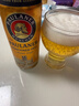 保拉纳（Paulaner）柏龙 慕尼黑大麦啤酒 500ml*24听 德国进口京东自营 饮料 实拍图