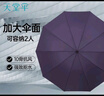 天堂伞强效拒水雨伞防风加固十骨大伞三折便携商务雨伞男女士 10骨大雨伞-兰灰 实拍图