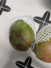 京鲜生 攀枝花凯特芒果 净重8.5斤 带箱9斤 单果500g+ 生鲜水果源头直发 实拍图