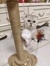 HELLOJOY猫抓柱剑麻猫抓板猫玩具耐抓耐磨不掉屑猫爬架立式自嗨解闷用品 实拍图