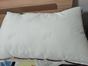 水星家纺枕头枕芯酒店枕头护颈枕头芯家用单个纯棉抗菌可水洗中枕48x74cm 实拍图