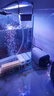 森森鱼缸增氧泵水族箱氧气泵LQE-200家用小型充氧泵4W双孔+全套配件 实拍图