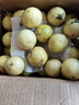 鲜青录广西黄金百香果钦蜜9号新鲜水果黄色白香果西番莲鸡蛋果 划算5斤中果（单果60-70g） 实拍图