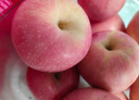 京鲜生 烟台红富士苹果 净重5.2斤/12粒  单果190-240g  水果礼盒 实拍图