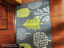 大江入户地垫进门脚垫进户门玄关门口地垫入户门80x110cm 落叶 实拍图