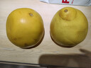 京鲜生 梅州白心蜜柚2粒装 净重4-4.5斤  白肉柚子水果 源头直发包邮 实拍图