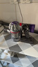 戴森（DYSON）V8无绳吸尘器【升级款】手持无线吸尘器 除螨 宠物 家庭适用 实拍图