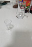 青苹果白酒杯分酒器套装 加厚玻璃一口杯品鉴小酒杯烈酒杯二两杯分酒壶 实拍图